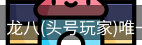 龙八头号玩家